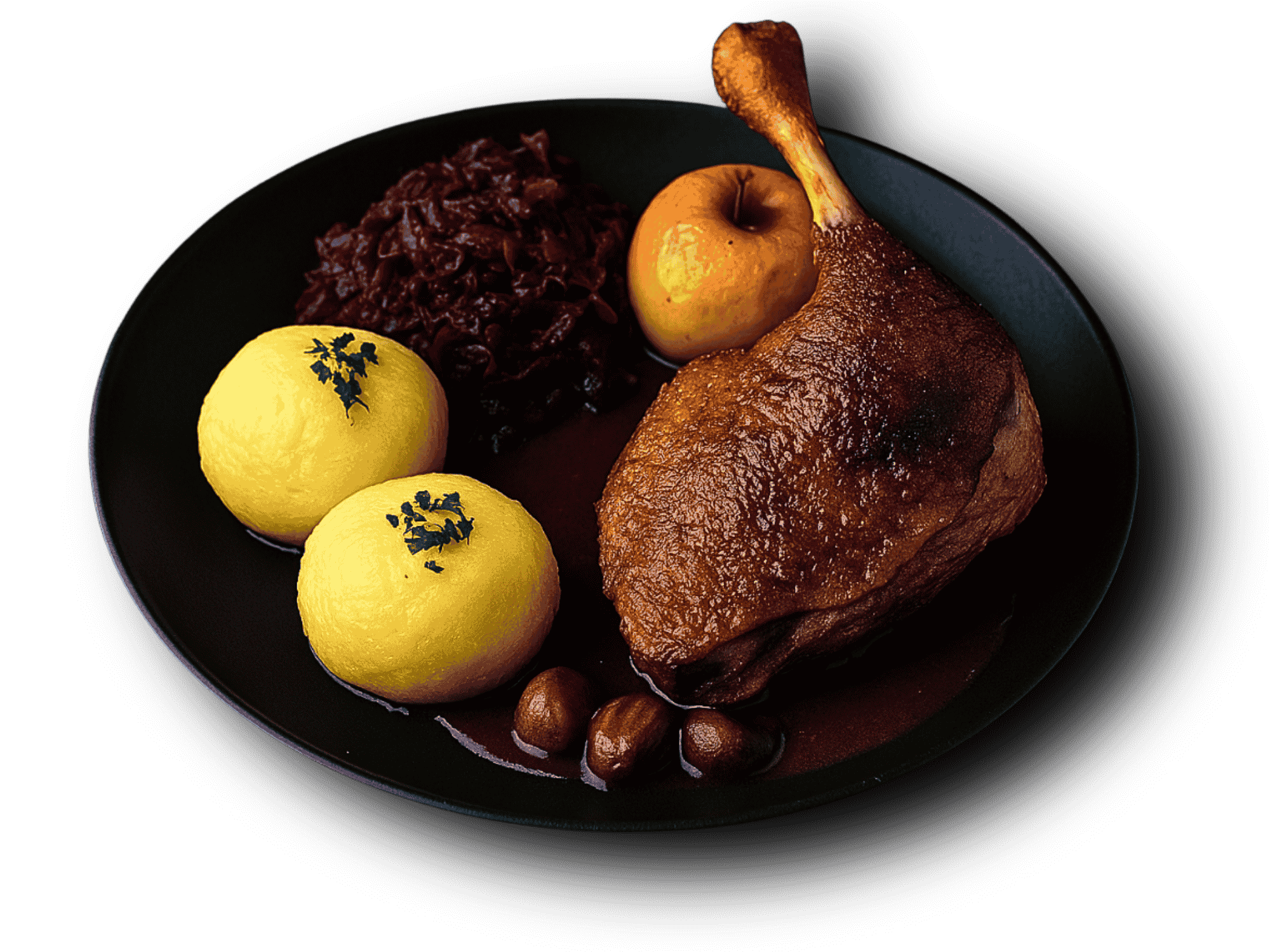 Gans mit Schatten.png