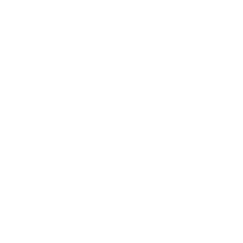 Geburtstag_Icon.png